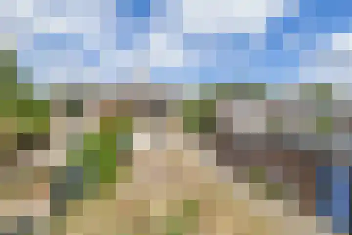 Hoekstraat 41 Nuenen thumbnail 56