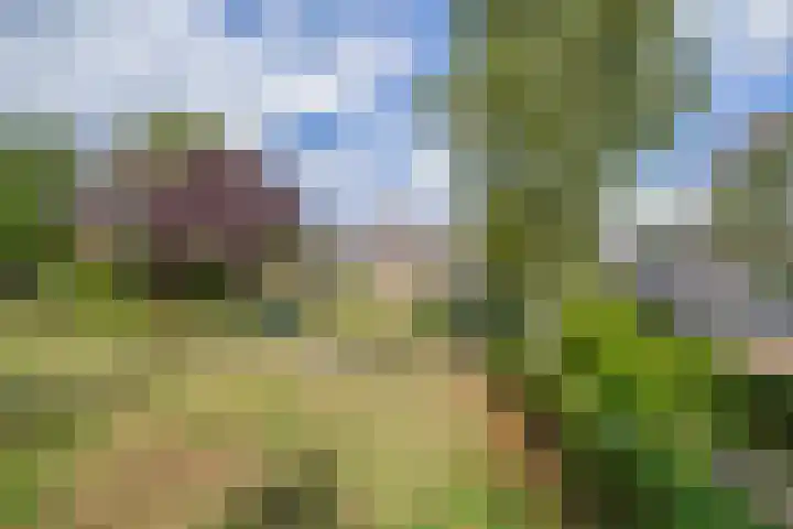 Hoekstraat 41 Nuenen thumbnail 57
