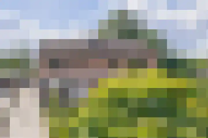 Hoekstraat 41 Nuenen thumbnail 7