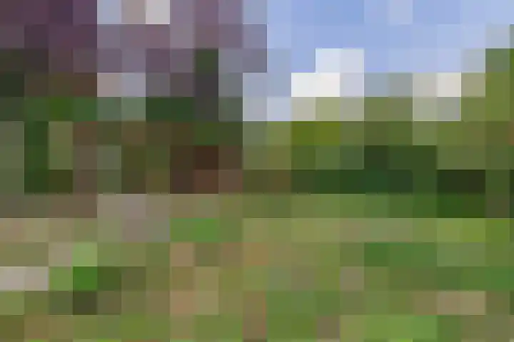 Hoekstraat 43 Nuenen thumbnail 50