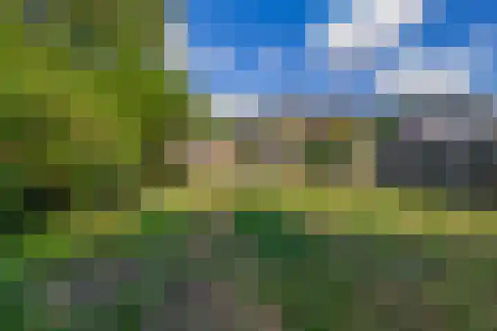 Hoekstraat 43 Nuenen thumbnail 53