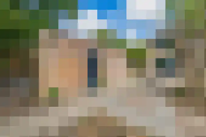 Hoekstraat 43 Nuenen thumbnail 54