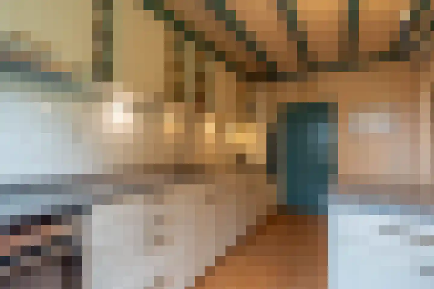 Hoekstraat 7 Rijkevoort thumbnail 18