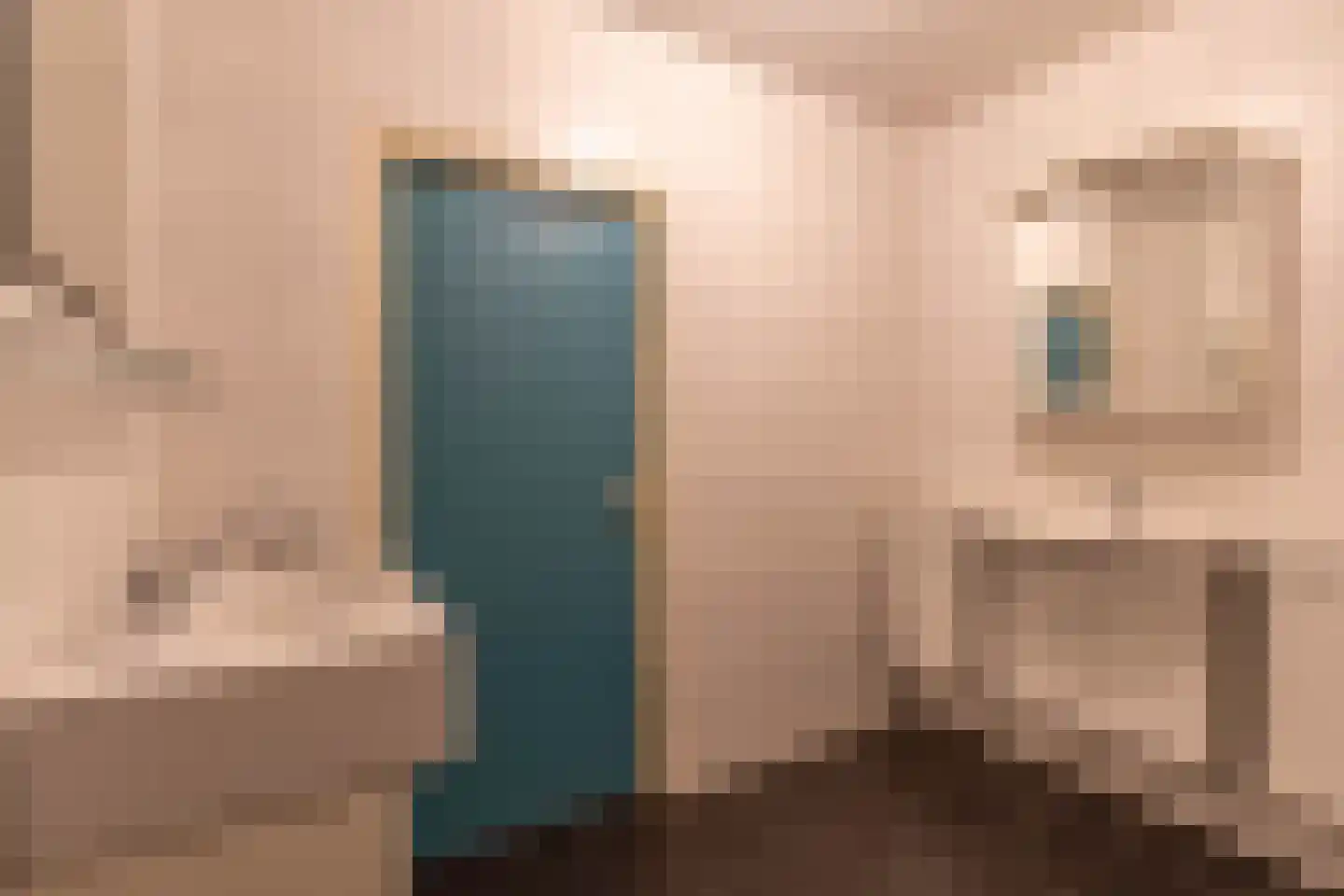 Hoekstraat 7 Rijkevoort thumbnail 34