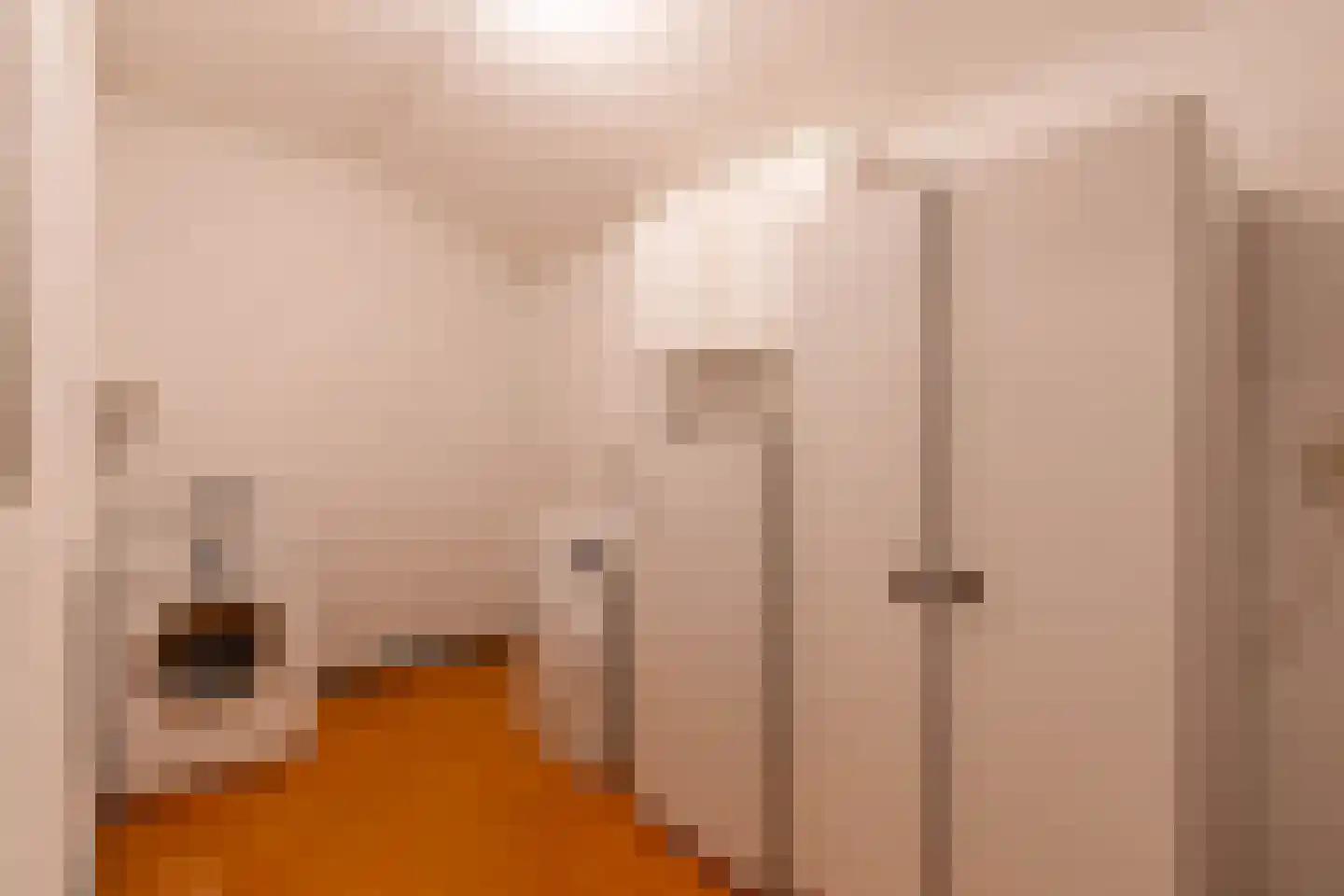 Hoekstraat 7 Rijkevoort thumbnail 35
