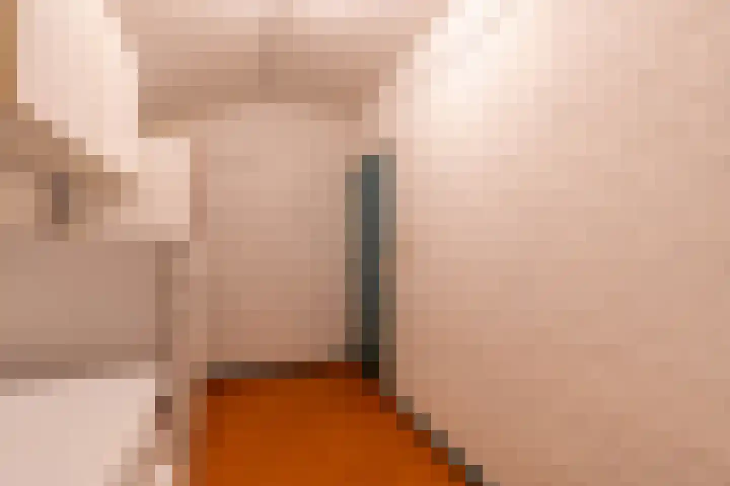 Hoekstraat 7 Rijkevoort thumbnail 36