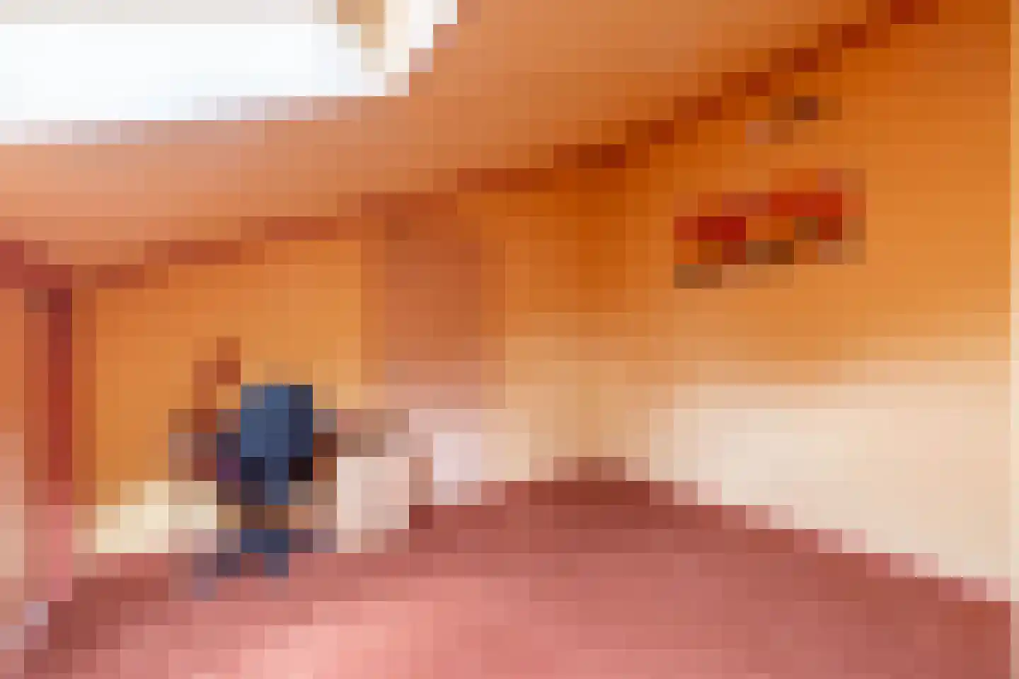 Hoekstraat 7 Rijkevoort thumbnail 43