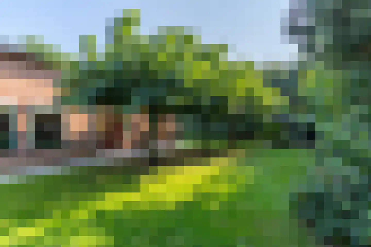 Hoekstraat 7 Rijkevoort thumbnail 6