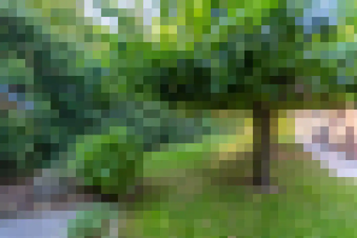 Hoekstraat 7 Rijkevoort thumbnail 7