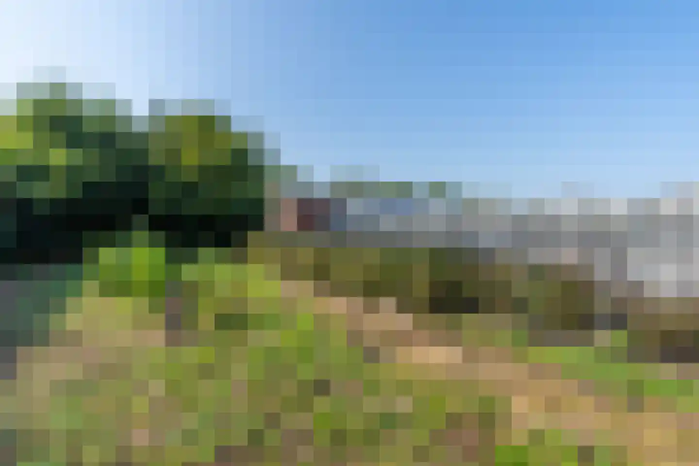 Hoekstraat 7 Rijkevoort thumbnail 9