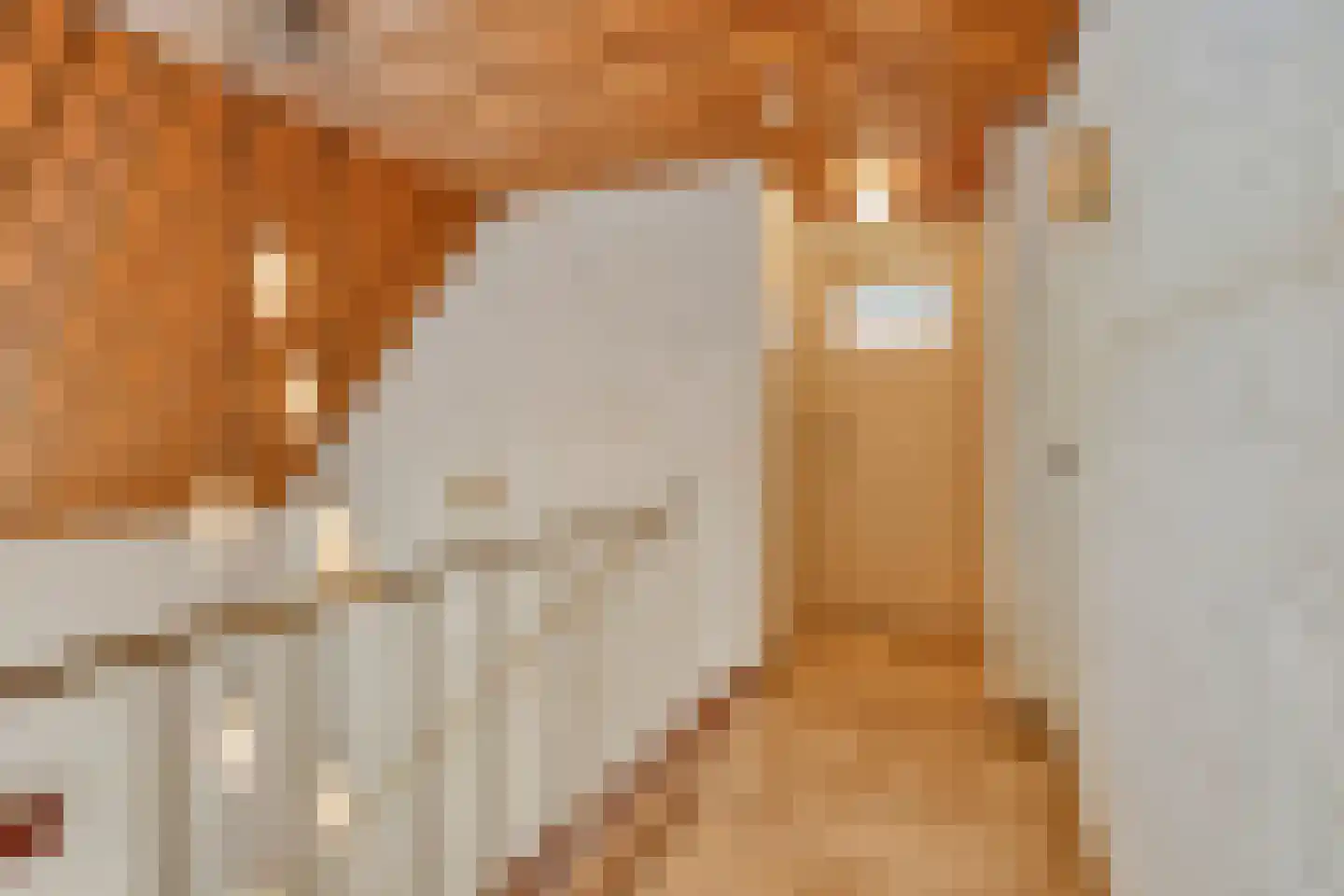 Hoekstraat 9 Nuenen thumbnail 23