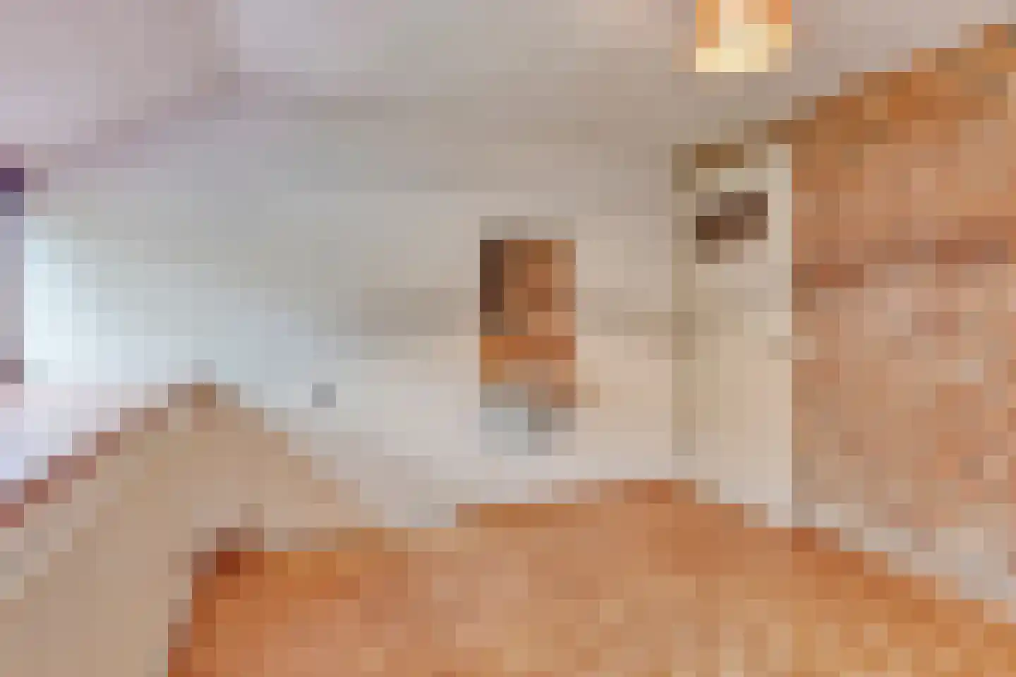 Hoekstraat 9 Nuenen thumbnail 34