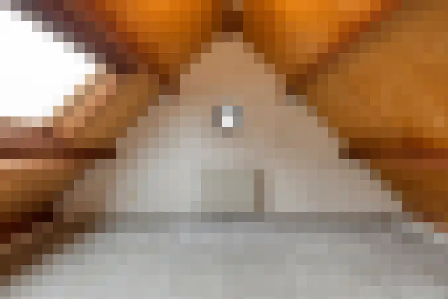 Hoekstraat 9 Nuenen thumbnail 36