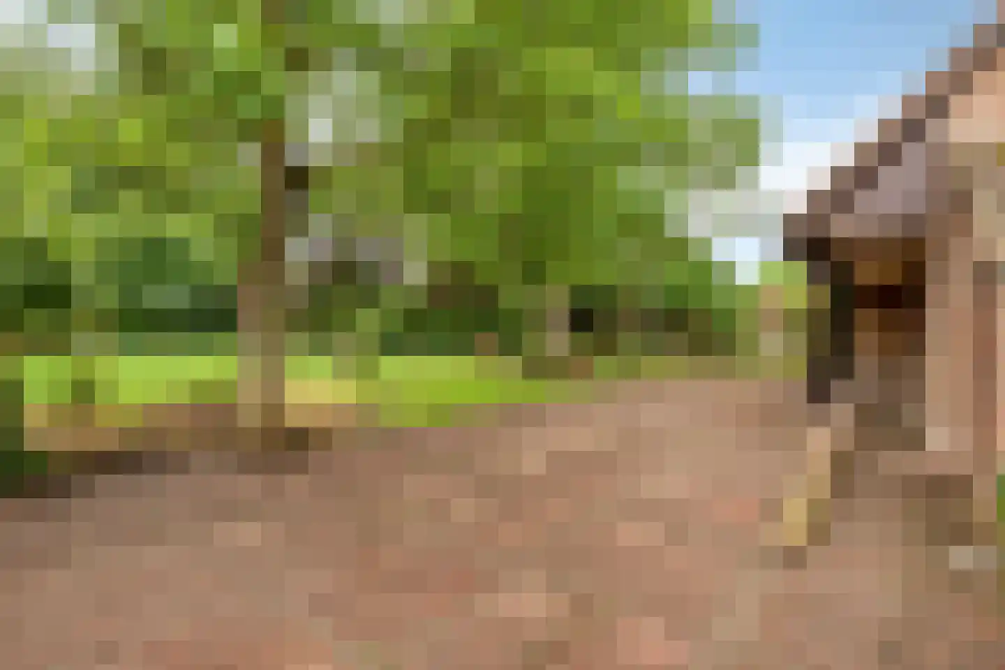 Hoekstraat 9 Nuenen thumbnail 39