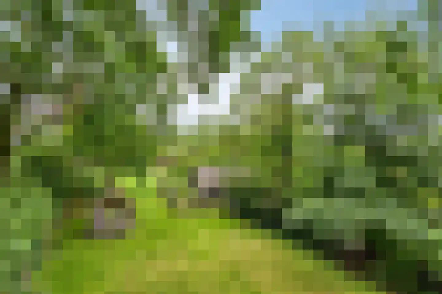Hoekstraat 9 Nuenen thumbnail 4
