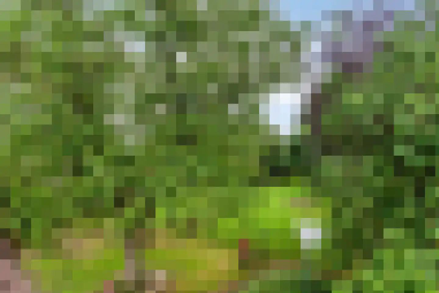 Hoekstraat 9 Nuenen thumbnail 45