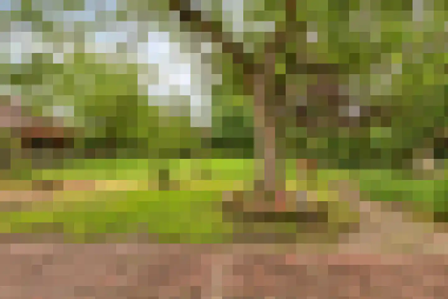 Hoekstraat 9 Nuenen thumbnail 46