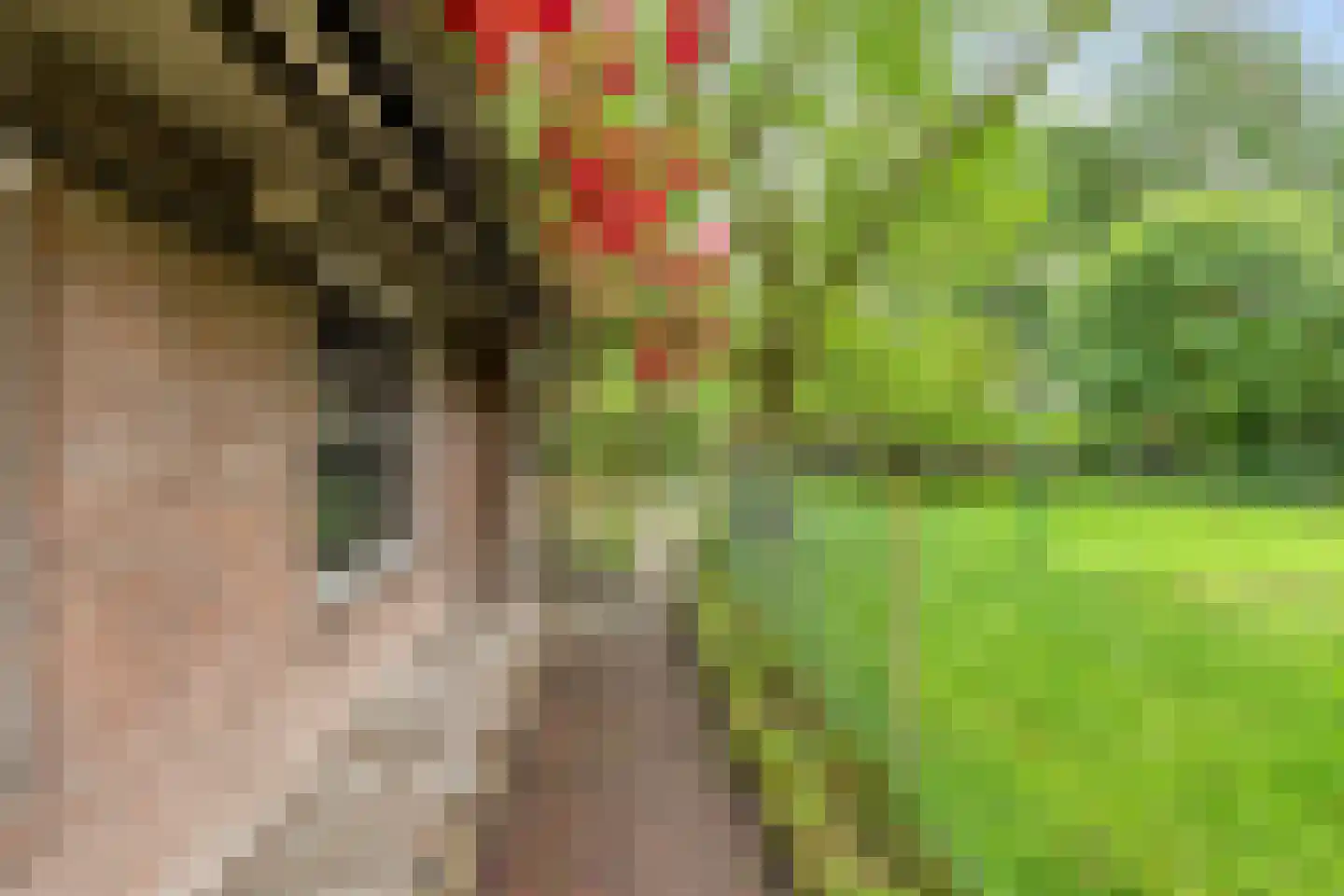 Hoekstraat 9 Nuenen thumbnail 48
