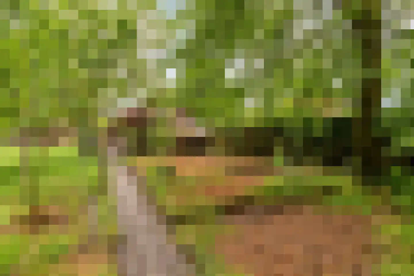 Hoekstraat 9 Nuenen thumbnail 50