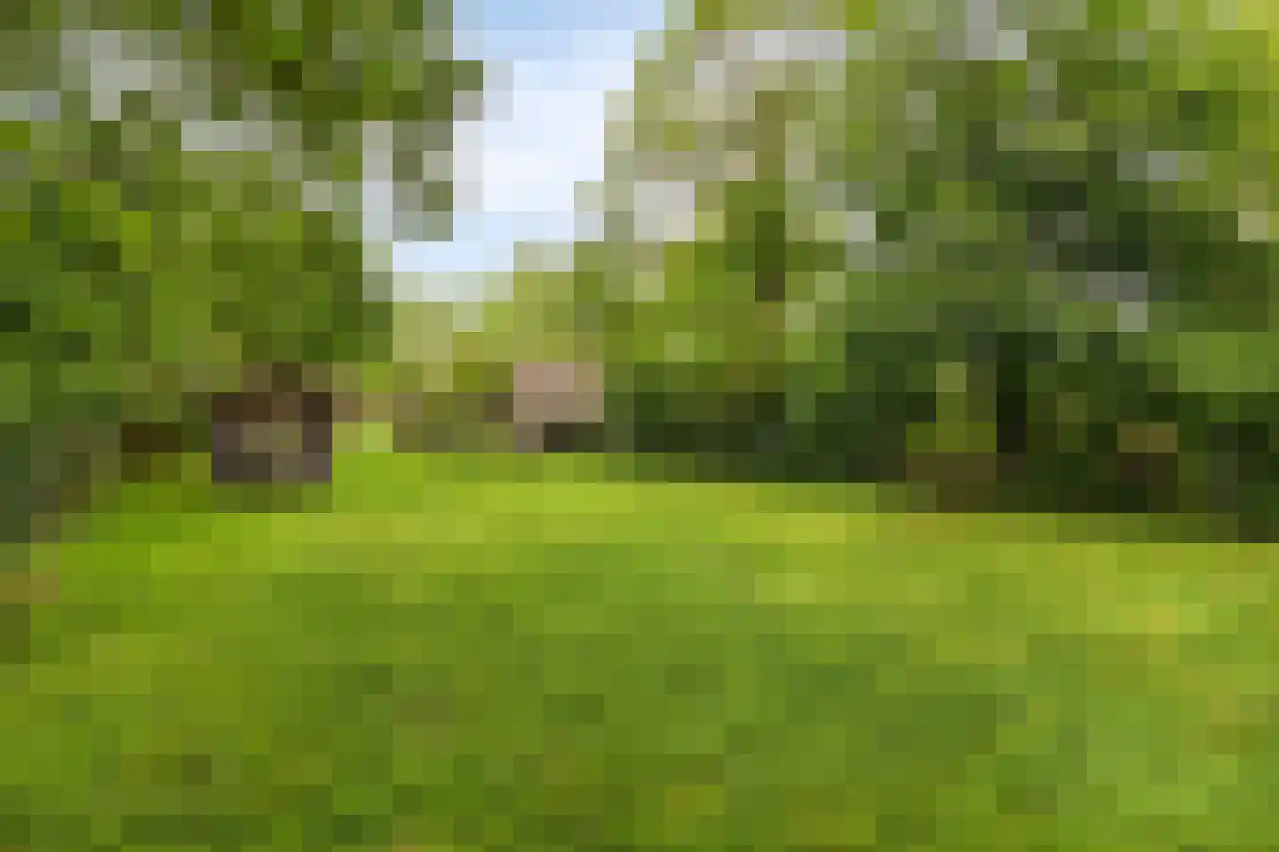 Hoekstraat 9 Nuenen thumbnail 51