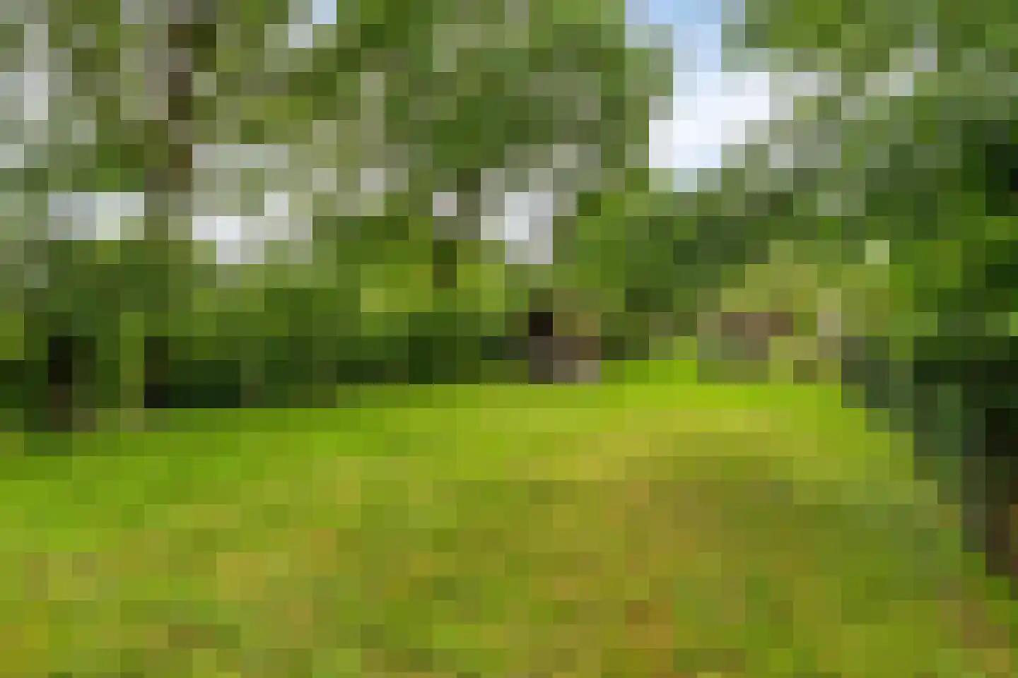 Hoekstraat 9 Nuenen thumbnail 52