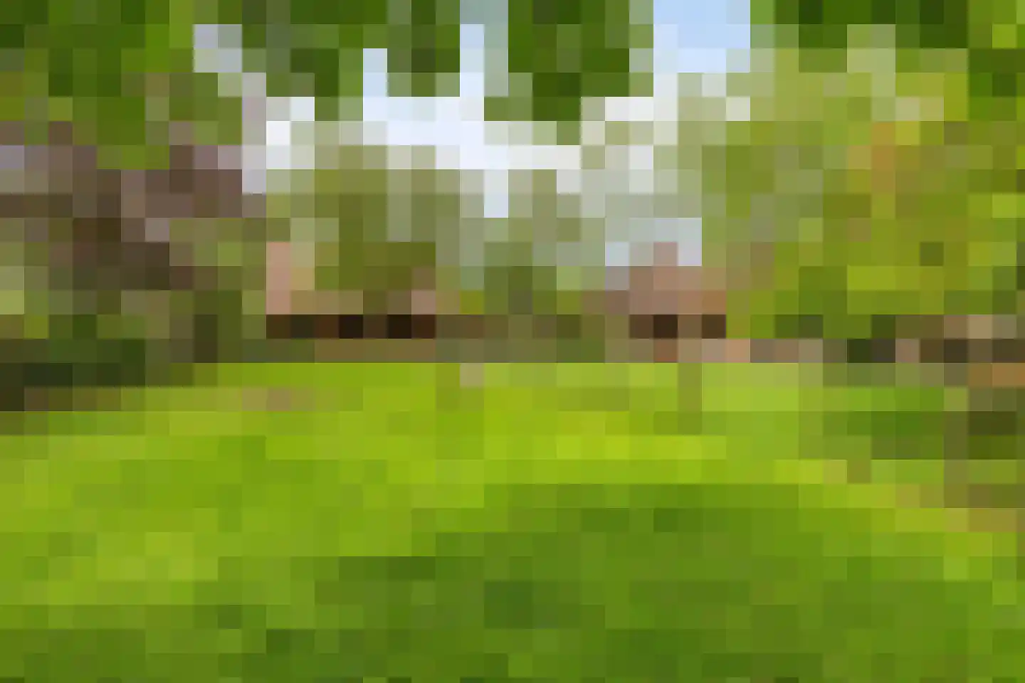 Hoekstraat 9 Nuenen thumbnail 54