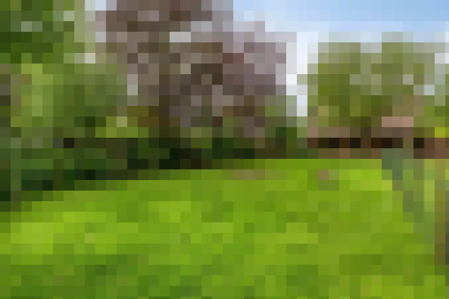 Hoekstraat 9 Nuenen thumbnail 55