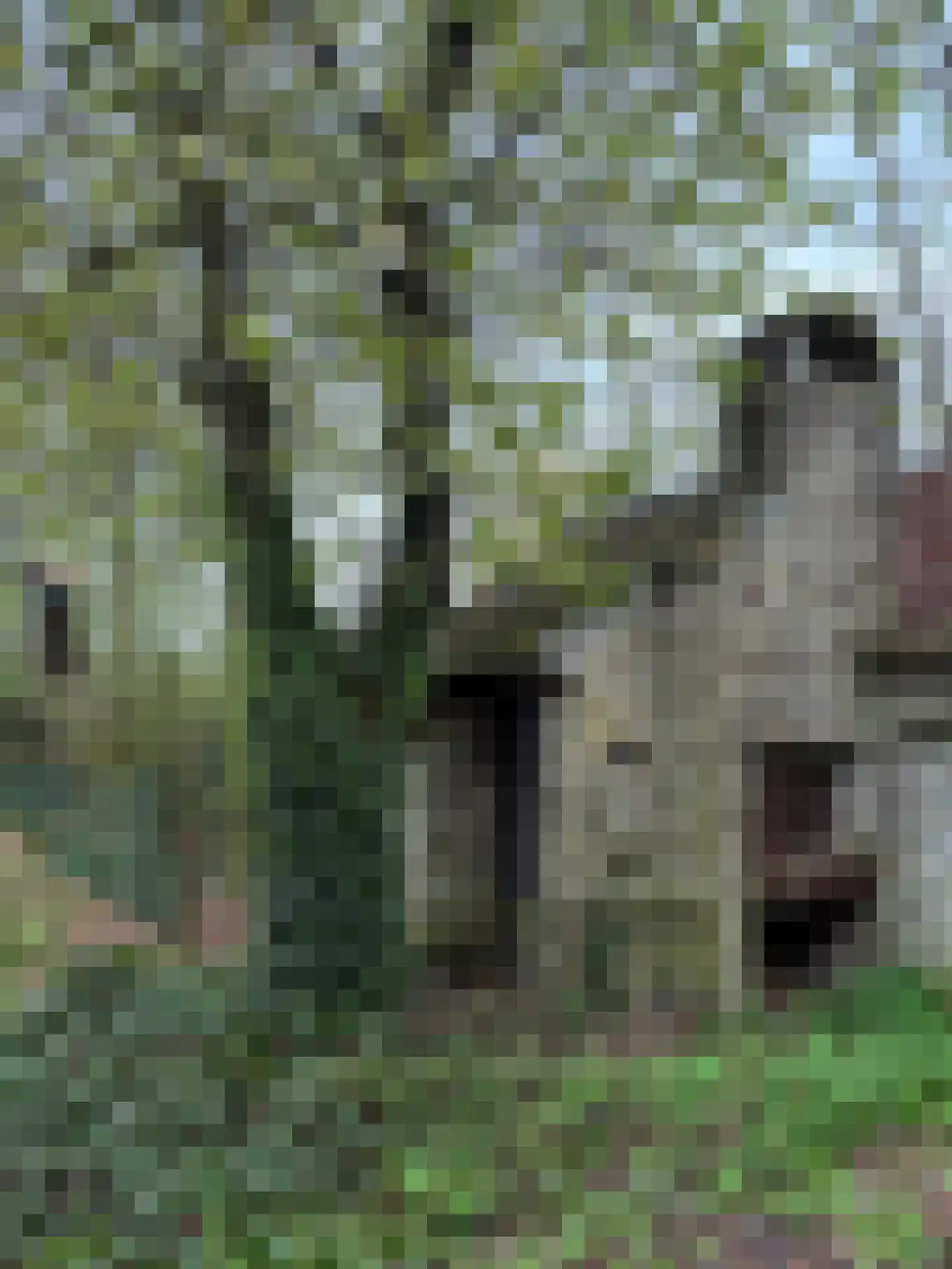 Hoekstraat 9 Nuenen thumbnail 58