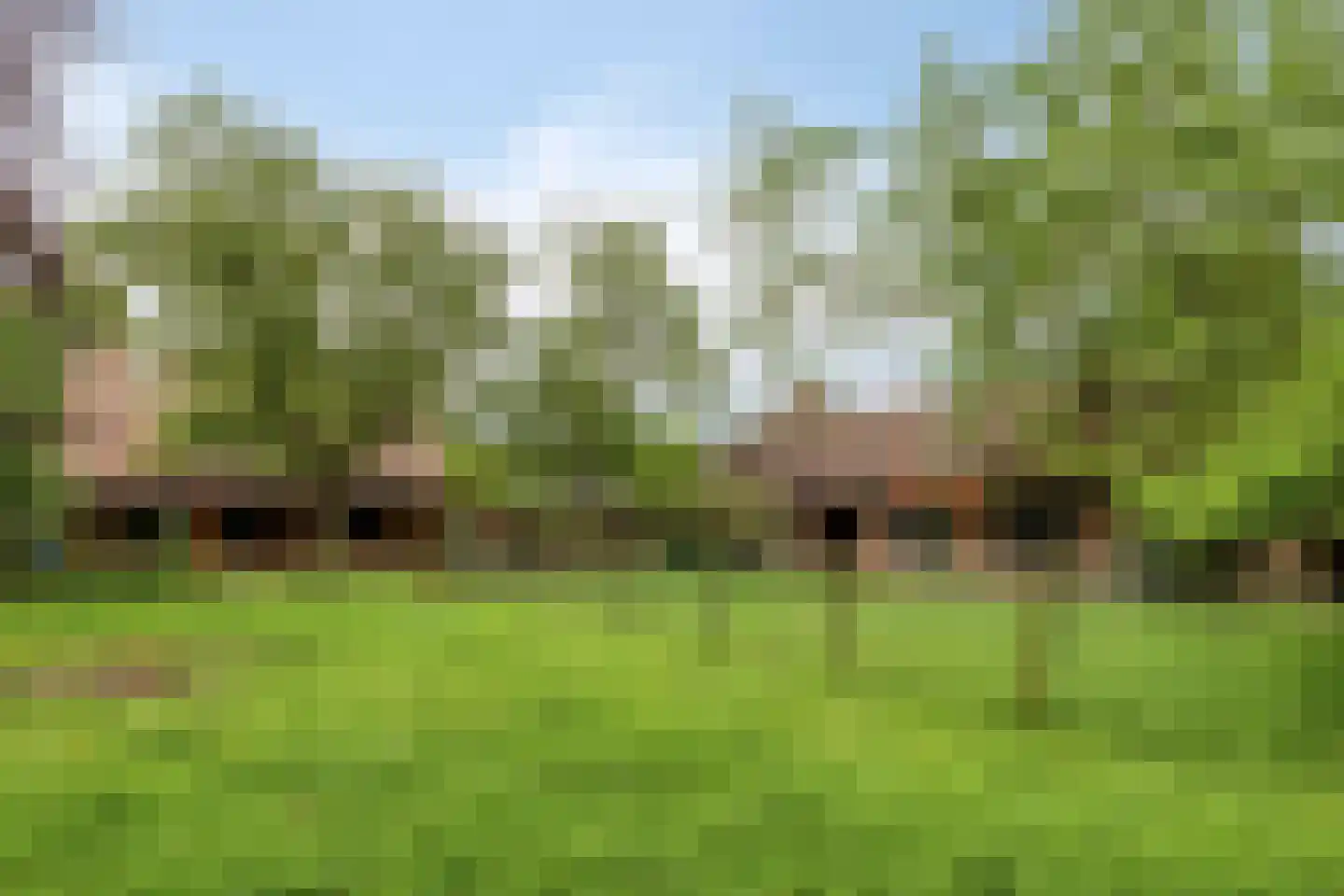 Hoekstraat 9 Nuenen thumbnail 59