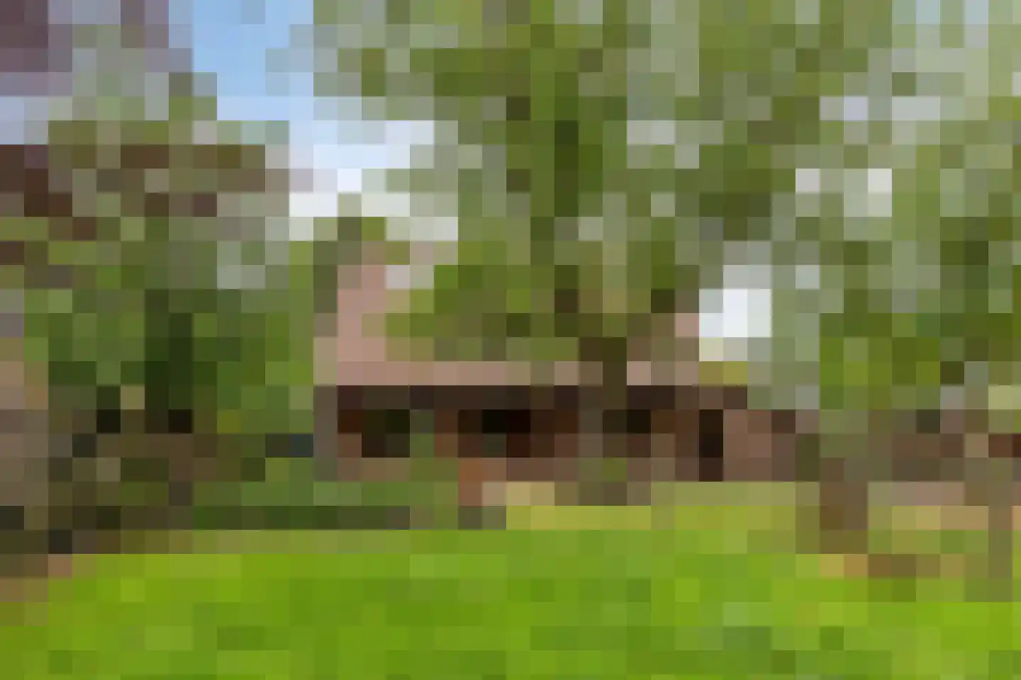 Hoekstraat 9 Nuenen thumbnail 61