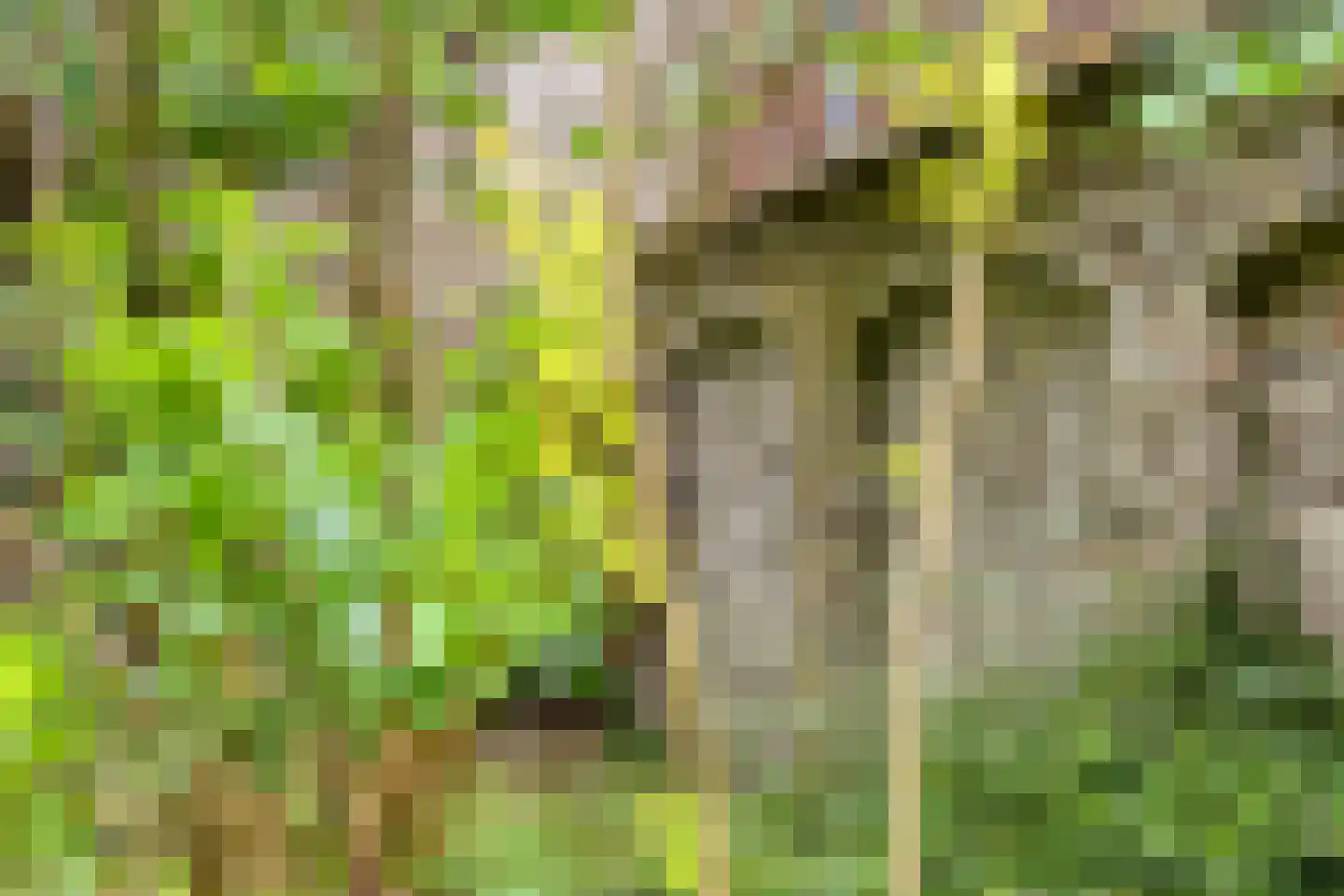 Hoekstraat 9 Nuenen thumbnail 63