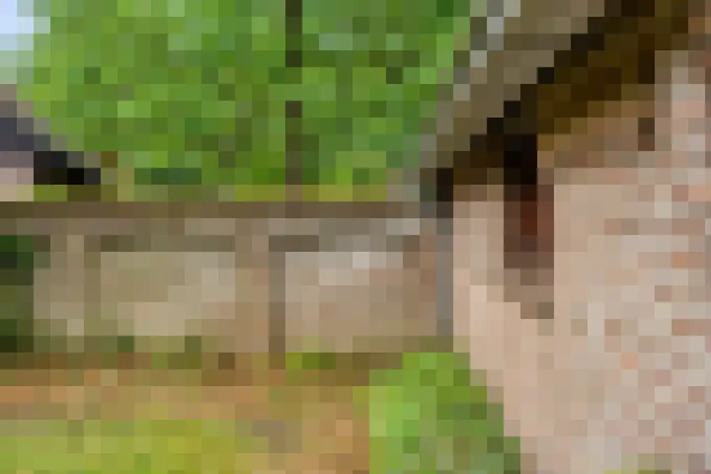 Hoekstraat 9 Nuenen thumbnail 64