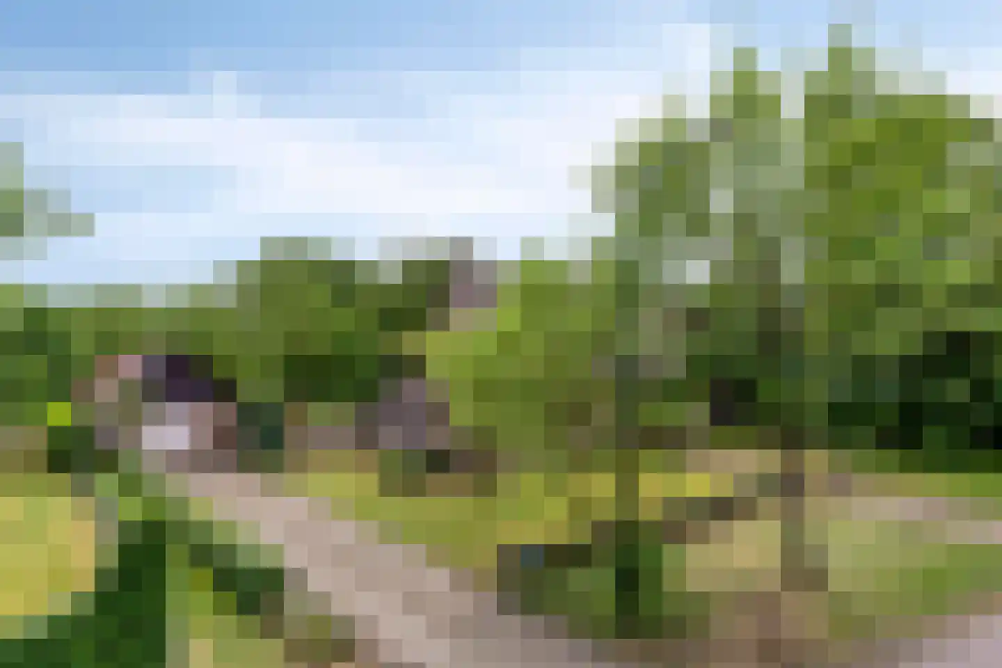 Hoekstraat 9 Nuenen thumbnail 65