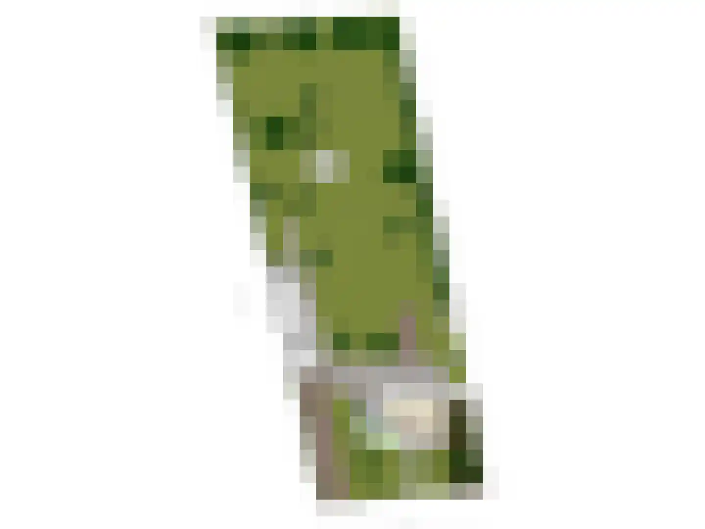 Hoekstraat 9 Nuenen thumbnail 70