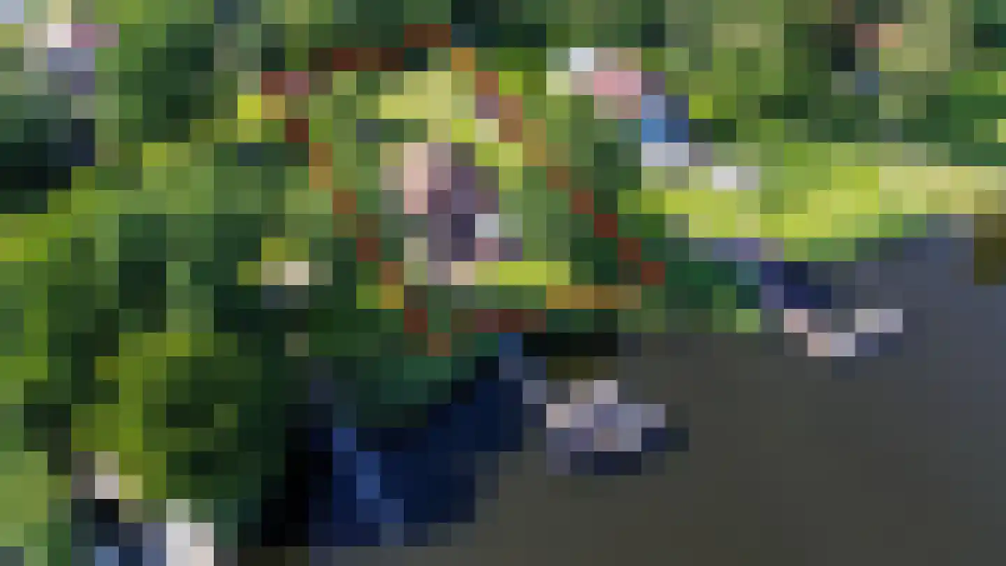 Hoekstuk 11 b Kaag thumbnail 18