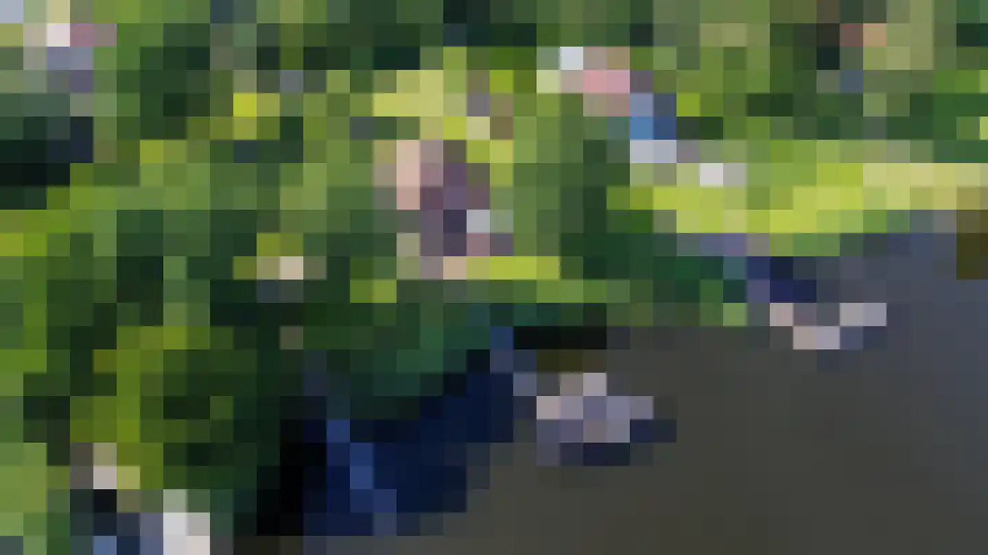 Hoekstuk 11 b Kaag foto 3