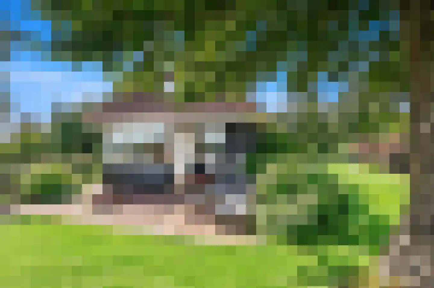 Hoekstuk 11 b Kaag thumbnail 33