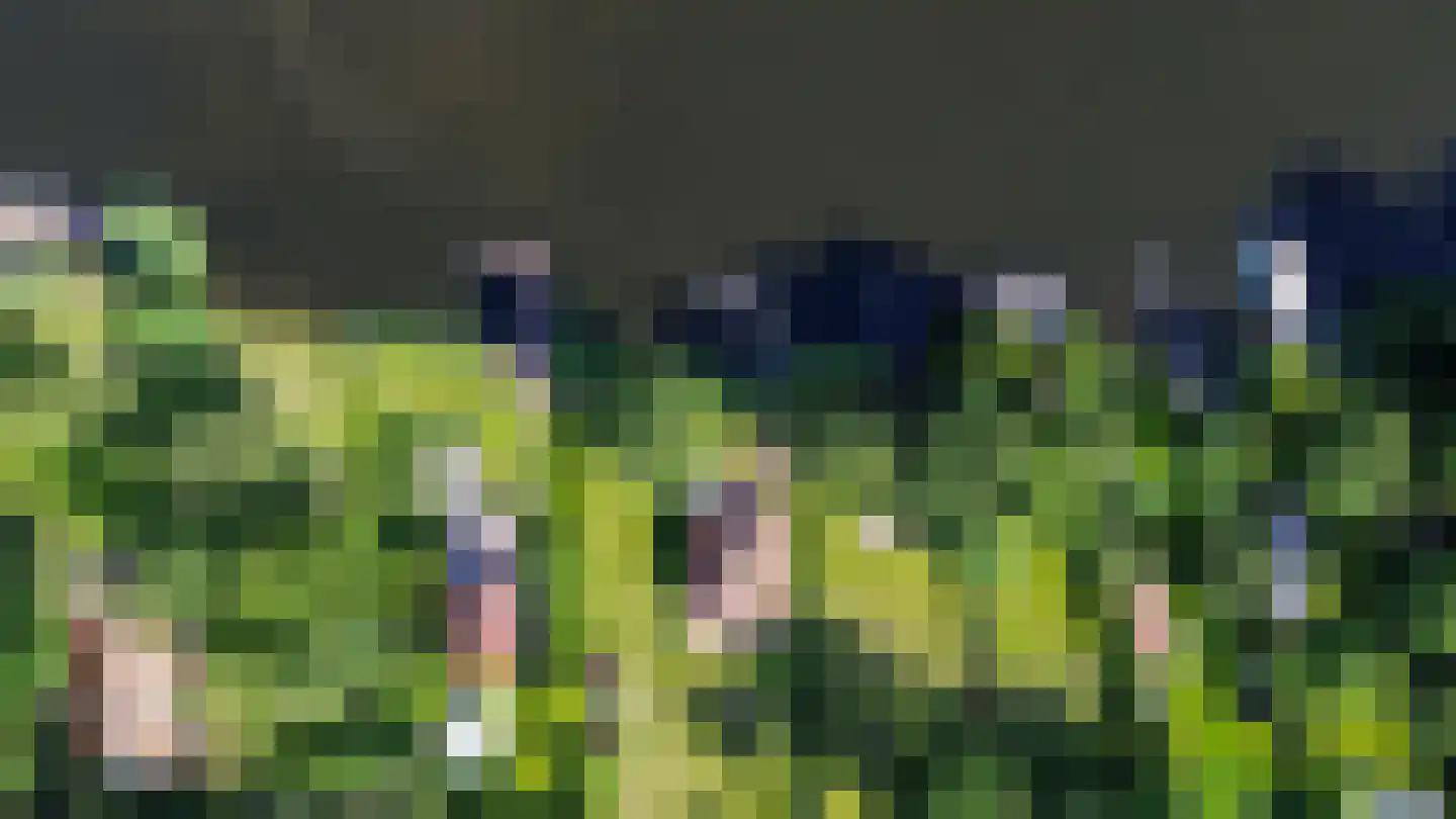Hoekstuk 11 b Kaag thumbnail 4