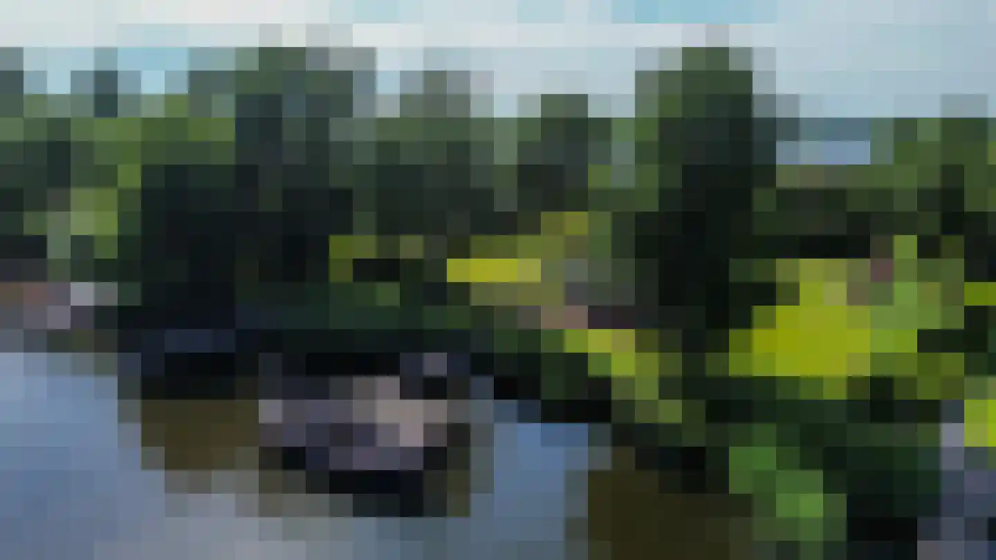 Hoekstuk 11 b Kaag thumbnail 8