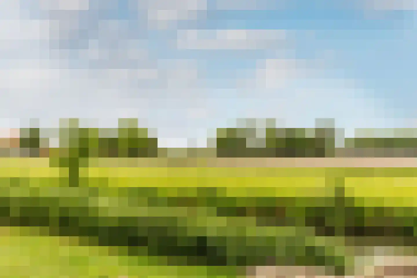 Hoektoren 7 Oostvoorne thumbnail 30
