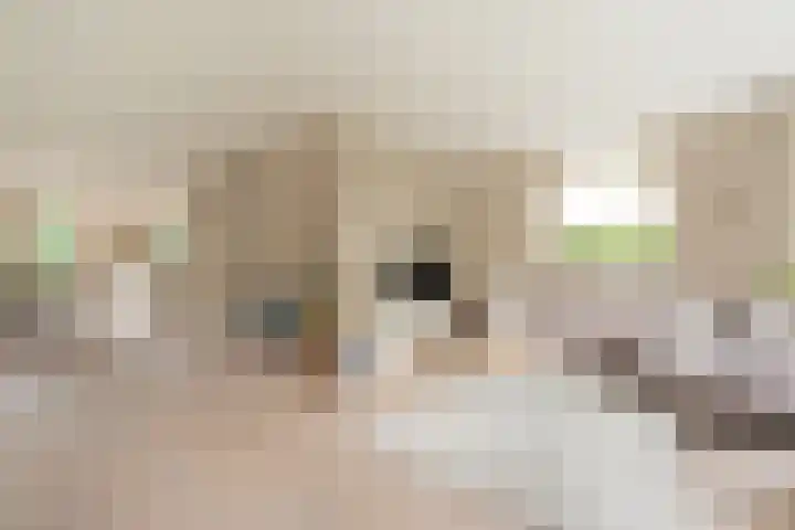 Hoekveen 50 Hooglanderveen thumbnail 15