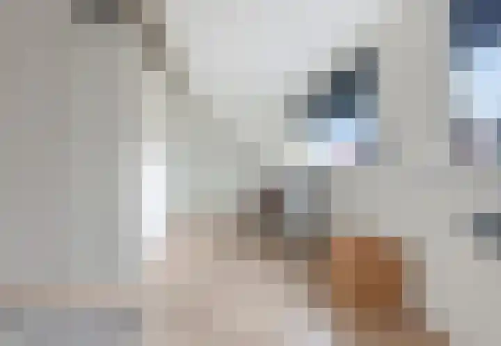 Hoekveen 50 Hooglanderveen thumbnail 37
