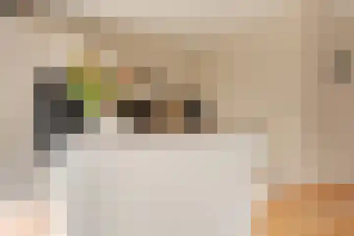 Hoekveen 50 Hooglanderveen thumbnail 4