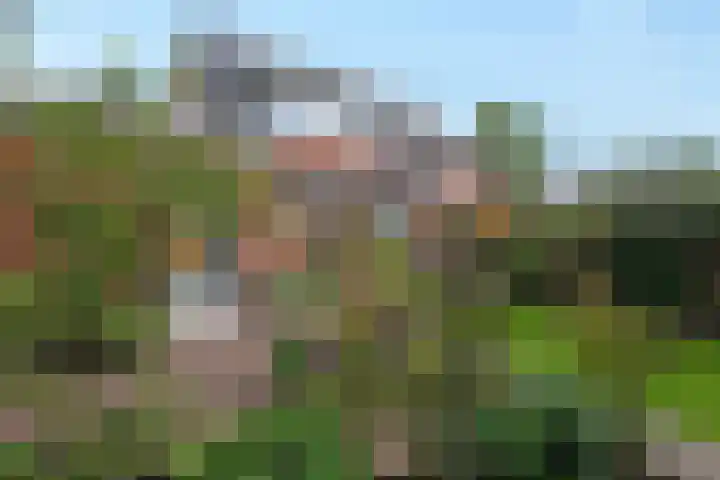Hoekveen 50 Hooglanderveen thumbnail 40