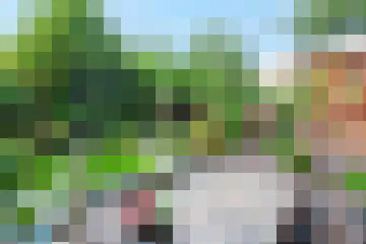 Hoekveen 50 Hooglanderveen thumbnail 41