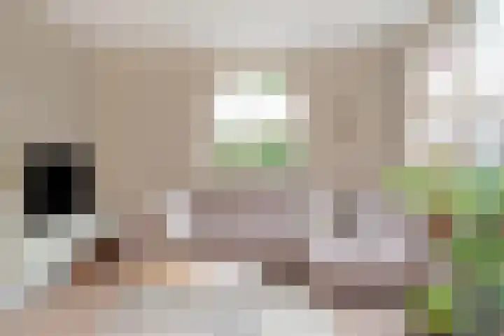 Hoekveen 50 Hooglanderveen thumbnail 7