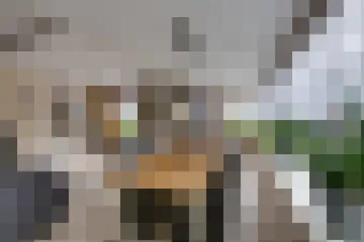 Hoekvensedreef 13 Schijf thumbnail 12