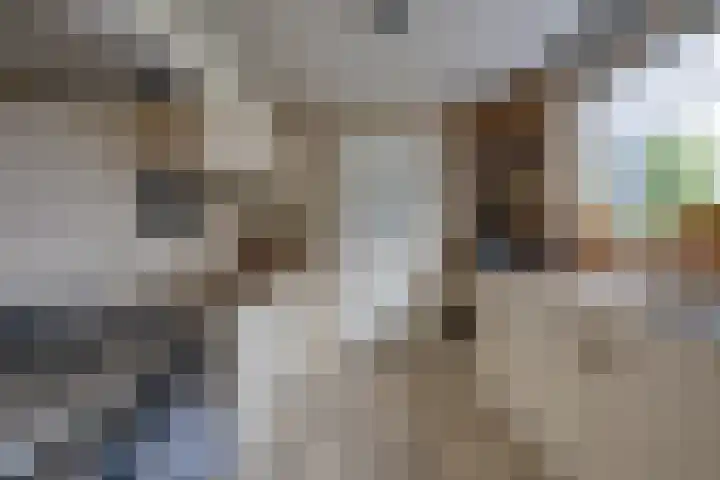 Hoekvensedreef 13 Schijf thumbnail 14