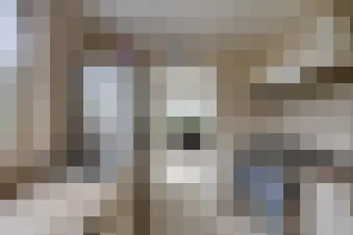 Hoekvensedreef 13 Schijf thumbnail 15