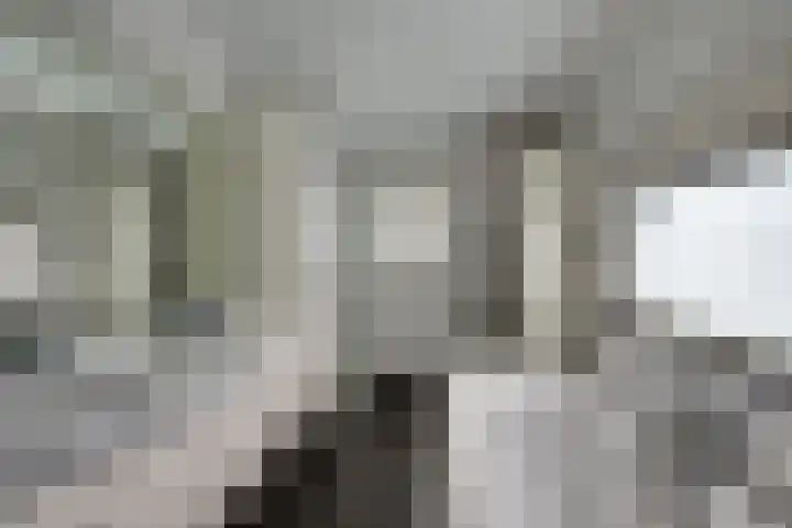 Hoekvensedreef 13 Schijf thumbnail 19